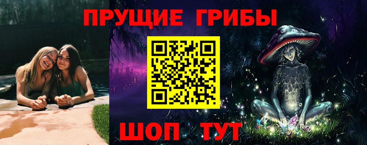 Псилоцибиновые грибы Cubensis  Вход с VPN  Арсеньев  Псилоцибиновые грибы GOLDEN TEACHER 