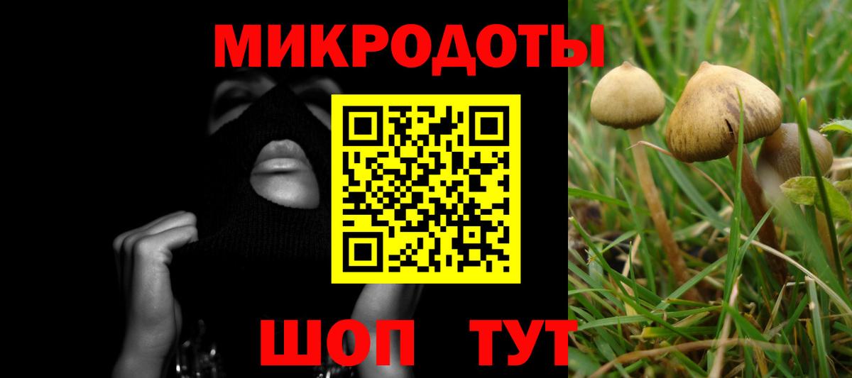 Галлюциногенные грибы Psilocybine cubensis Арсеньев